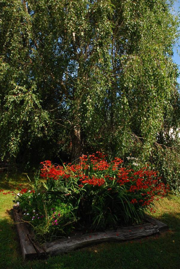 Apartament Castro Eco 10 Castro Urdiales Zewnętrze zdjęcie
